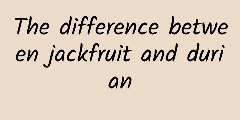 The difference between jackfruit and durian