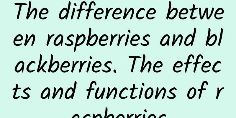 The difference between raspberries and blackberries. The effects and functions of raspberries