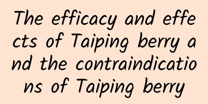 The efficacy and effects of Taiping berry and the contraindications of Taiping berry