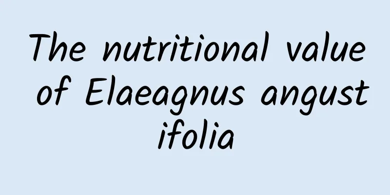 The nutritional value of Elaeagnus angustifolia