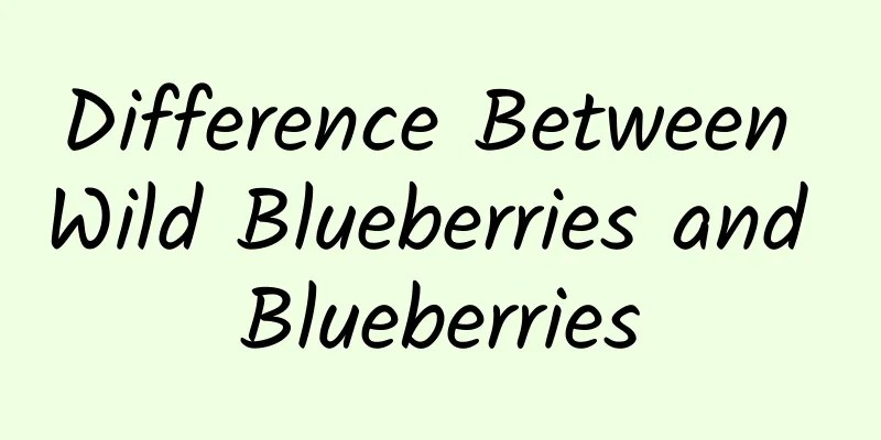 Difference Between Wild Blueberries and Blueberries