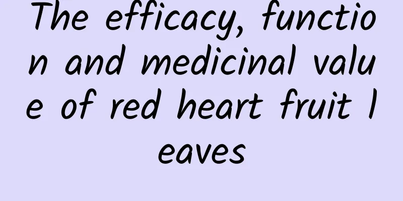 The efficacy, function and medicinal value of red heart fruit leaves