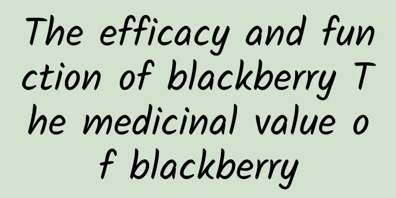 The efficacy and function of blackberry The medicinal value of blackberry