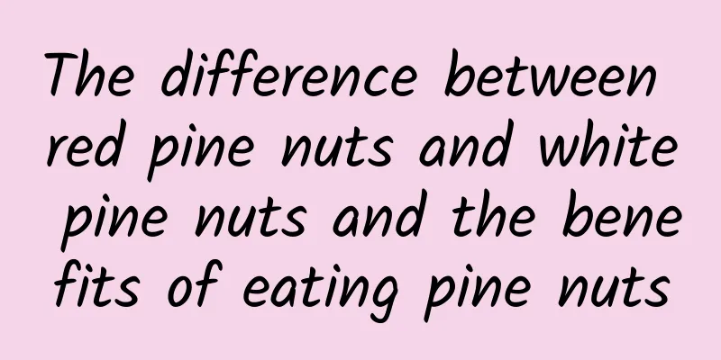 The difference between red pine nuts and white pine nuts and the benefits of eating pine nuts