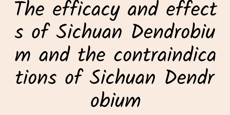 The efficacy and effects of Sichuan Dendrobium and the contraindications of Sichuan Dendrobium