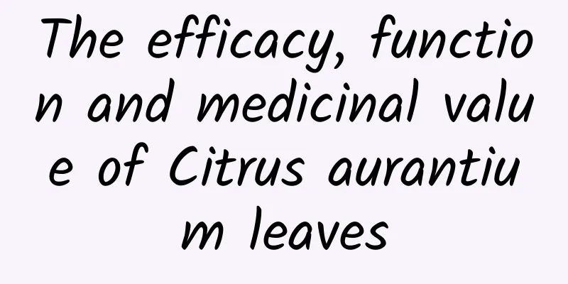 The efficacy, function and medicinal value of Citrus aurantium leaves