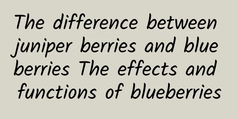 The difference between juniper berries and blueberries The effects and functions of blueberries