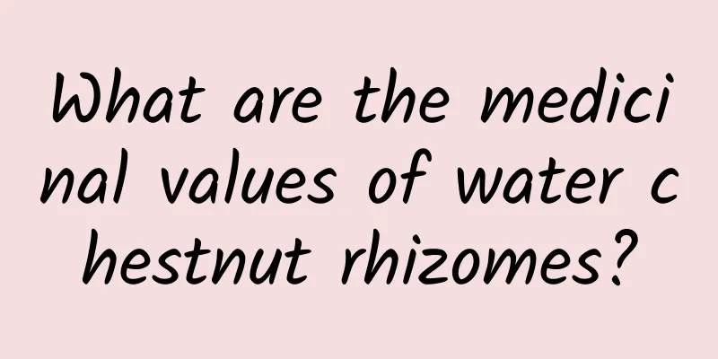 What are the medicinal values ​​of water chestnut rhizomes?