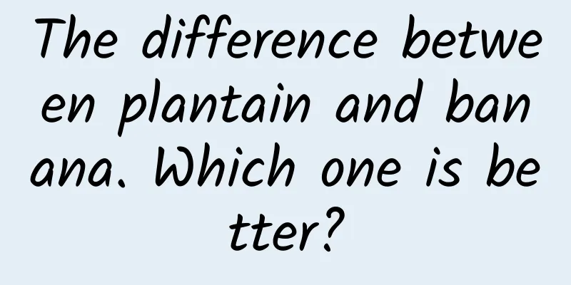 The difference between plantain and banana. Which one is better?