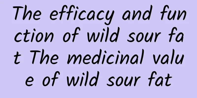 The efficacy and function of wild sour fat The medicinal value of wild sour fat