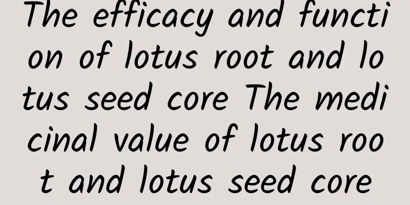 The efficacy and function of lotus root and lotus seed core The medicinal value of lotus root and lotus seed core