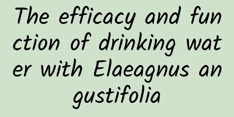 The efficacy and function of drinking water with Elaeagnus angustifolia