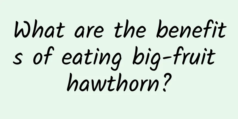 What are the benefits of eating big-fruit hawthorn?