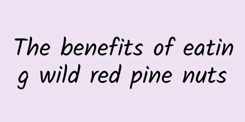 The benefits of eating wild red pine nuts