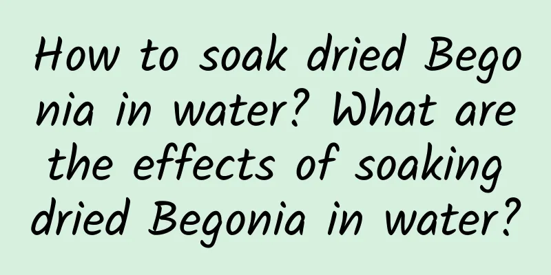 How to soak dried Begonia in water? What are the effects of soaking dried Begonia in water?