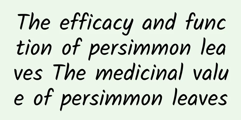 The efficacy and function of persimmon leaves The medicinal value of persimmon leaves