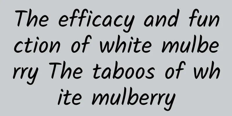 The efficacy and function of white mulberry The taboos of white mulberry