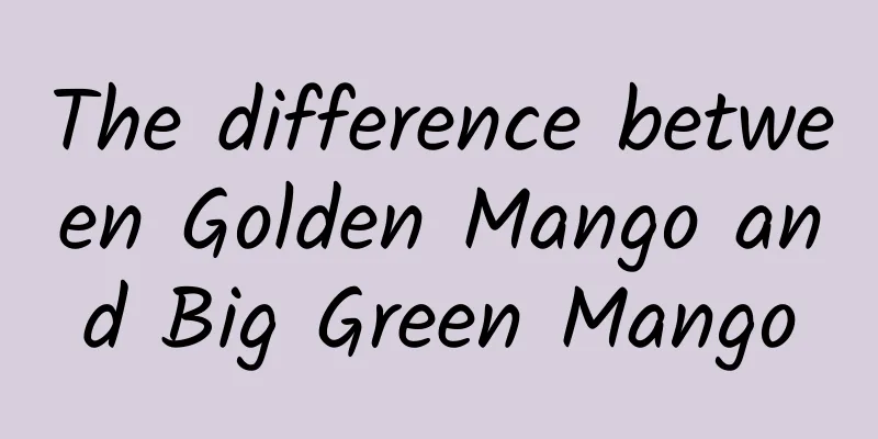 The difference between Golden Mango and Big Green Mango