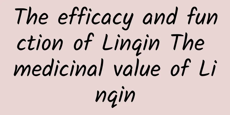 The efficacy and function of Linqin The medicinal value of Linqin