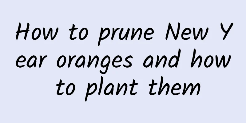 How to prune New Year oranges and how to plant them