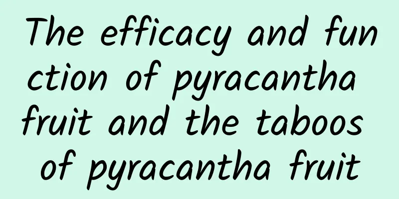 The efficacy and function of pyracantha fruit and the taboos of pyracantha fruit