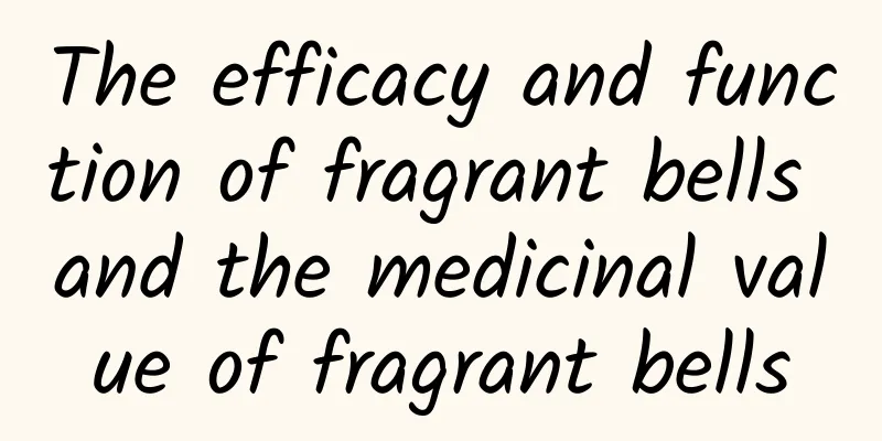 The efficacy and function of fragrant bells and the medicinal value of fragrant bells