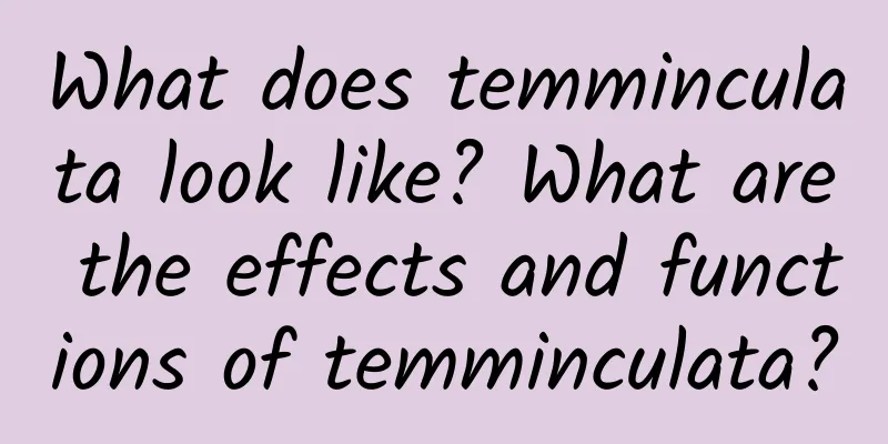 What does temminculata look like? What are the effects and functions of temminculata?