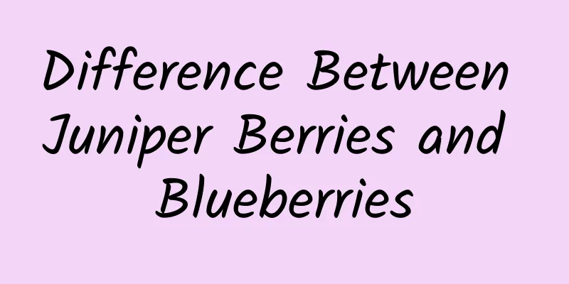 Difference Between Juniper Berries and Blueberries