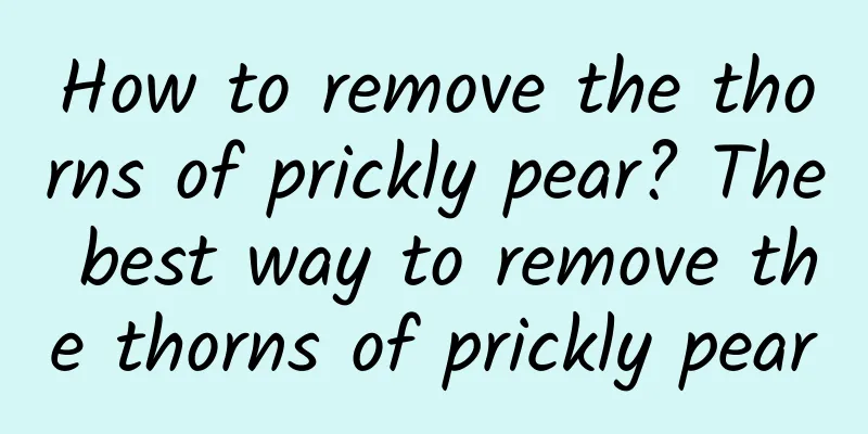 How to remove the thorns of prickly pear? The best way to remove the thorns of prickly pear