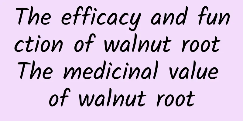 The efficacy and function of walnut root The medicinal value of walnut root