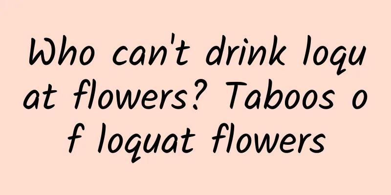 Who can't drink loquat flowers? Taboos of loquat flowers