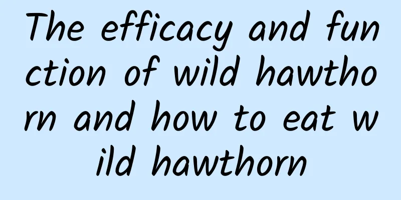 The efficacy and function of wild hawthorn and how to eat wild hawthorn