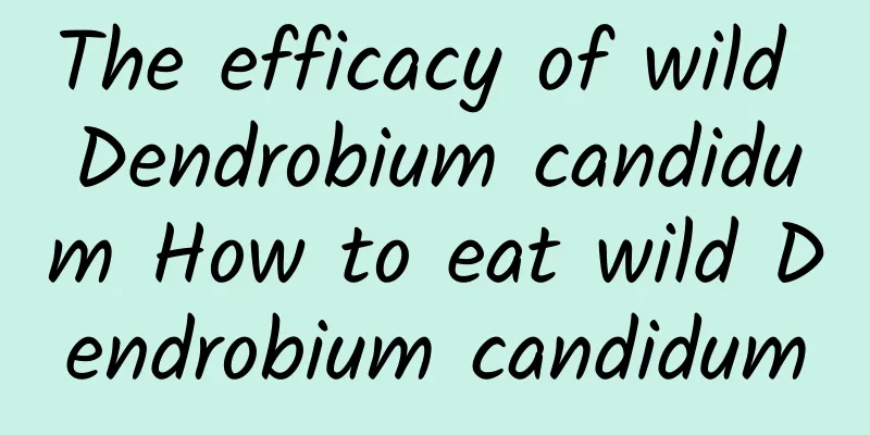 The efficacy of wild Dendrobium candidum How to eat wild Dendrobium candidum