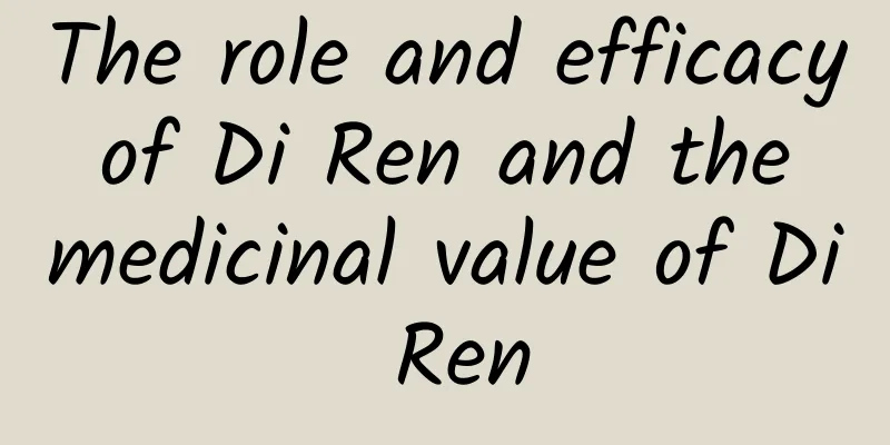 The role and efficacy of Di Ren and the medicinal value of Di Ren