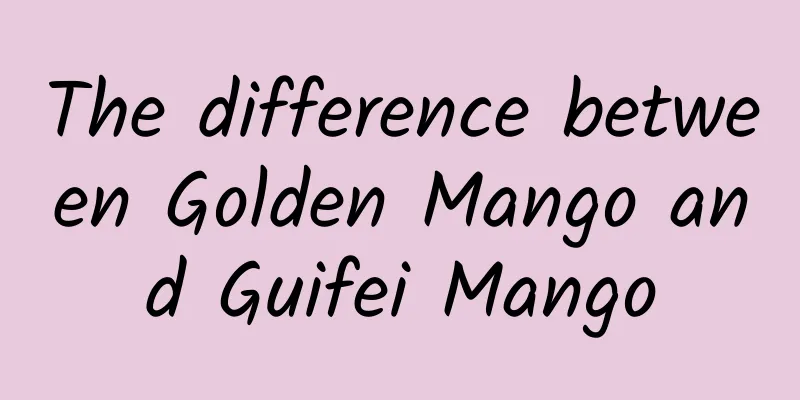 The difference between Golden Mango and Guifei Mango