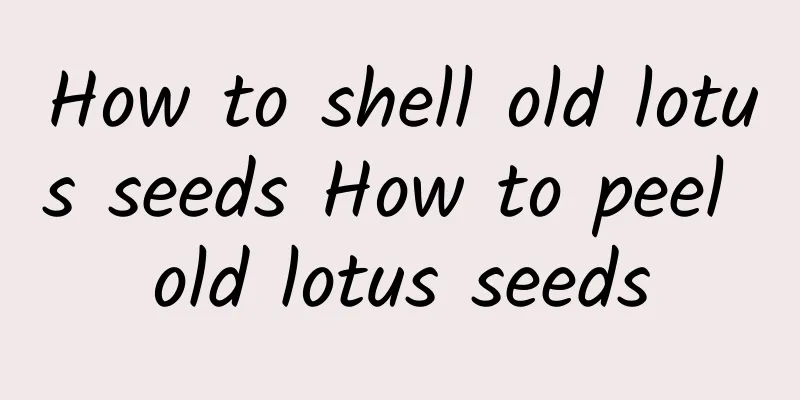 How to shell old lotus seeds How to peel old lotus seeds