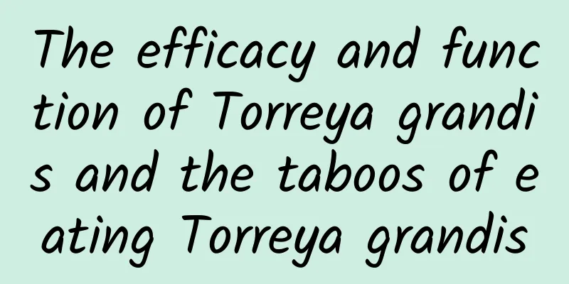 The efficacy and function of Torreya grandis and the taboos of eating Torreya grandis