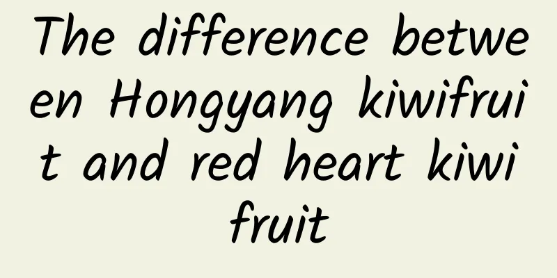 The difference between Hongyang kiwifruit and red heart kiwifruit