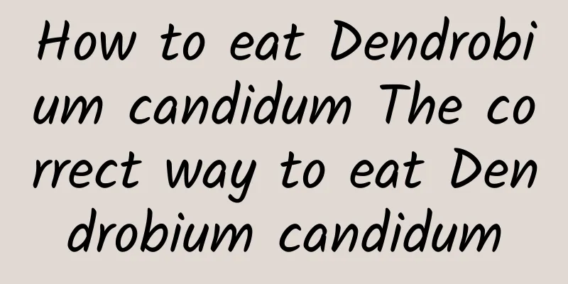 How to eat Dendrobium candidum The correct way to eat Dendrobium candidum