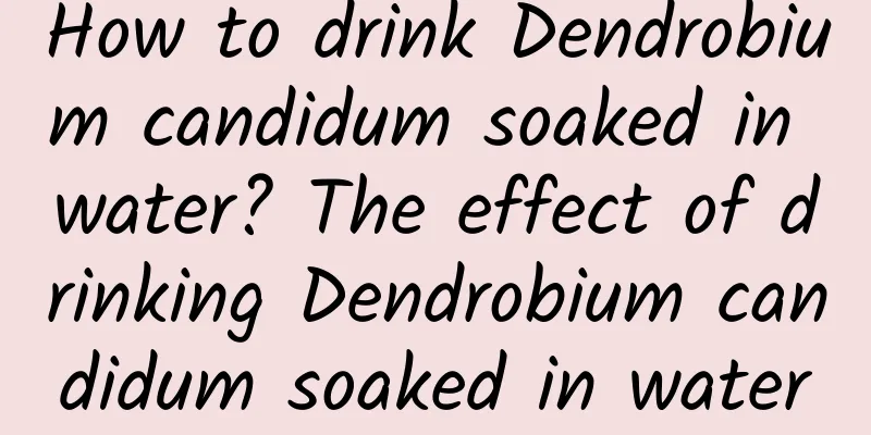 How to drink Dendrobium candidum soaked in water? The effect of drinking Dendrobium candidum soaked in water