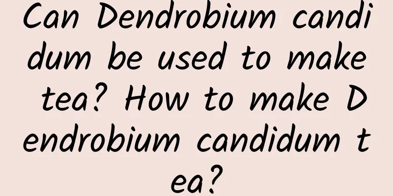 Can Dendrobium candidum be used to make tea? How to make Dendrobium candidum tea?