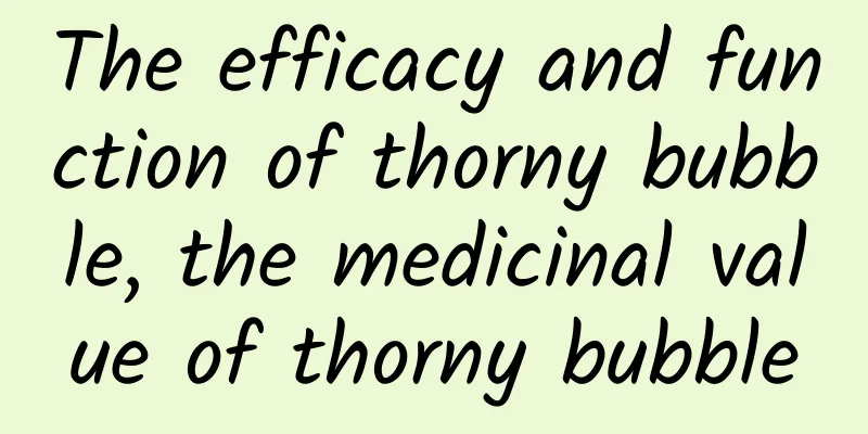 The efficacy and function of thorny bubble, the medicinal value of thorny bubble