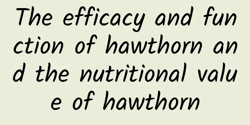 The efficacy and function of hawthorn and the nutritional value of hawthorn