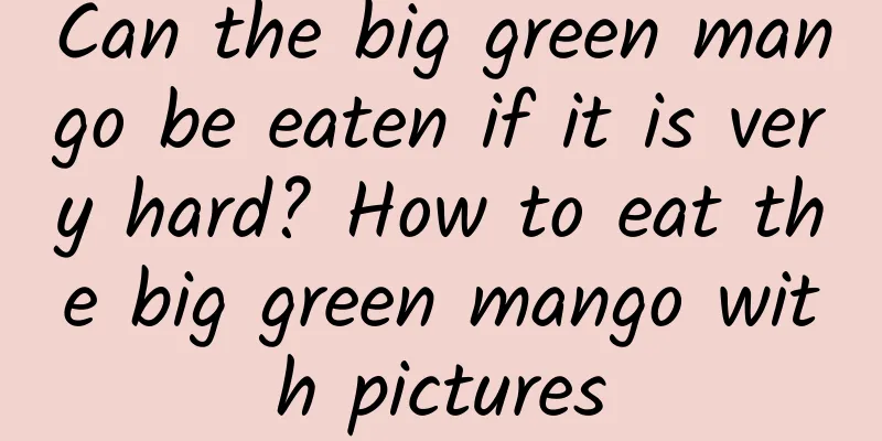 Can the big green mango be eaten if it is very hard? How to eat the big green mango with pictures