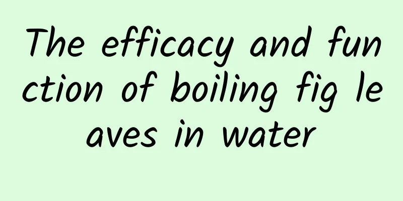 The efficacy and function of boiling fig leaves in water