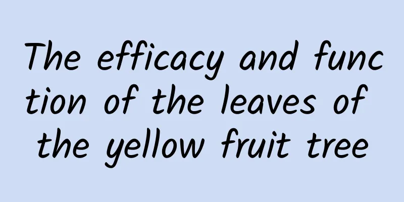 The efficacy and function of the leaves of the yellow fruit tree