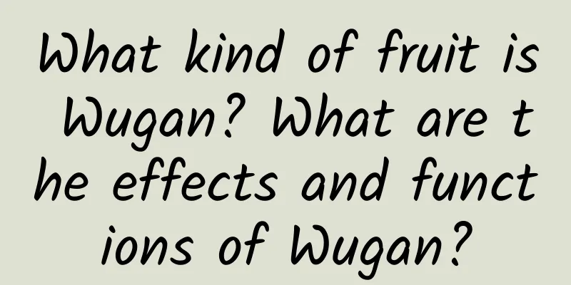 What kind of fruit is Wugan? What are the effects and functions of Wugan?