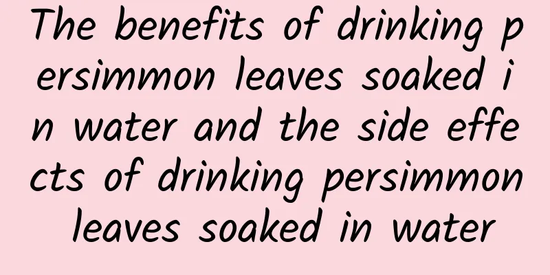 The benefits of drinking persimmon leaves soaked in water and the side effects of drinking persimmon leaves soaked in water