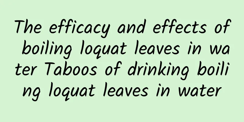 The efficacy and effects of boiling loquat leaves in water Taboos of drinking boiling loquat leaves in water