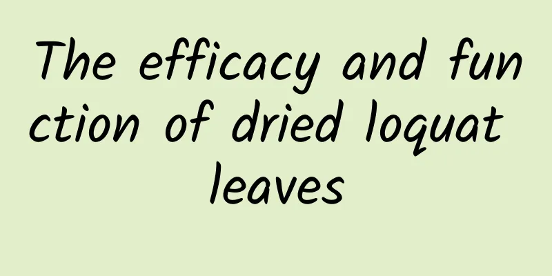 The efficacy and function of dried loquat leaves